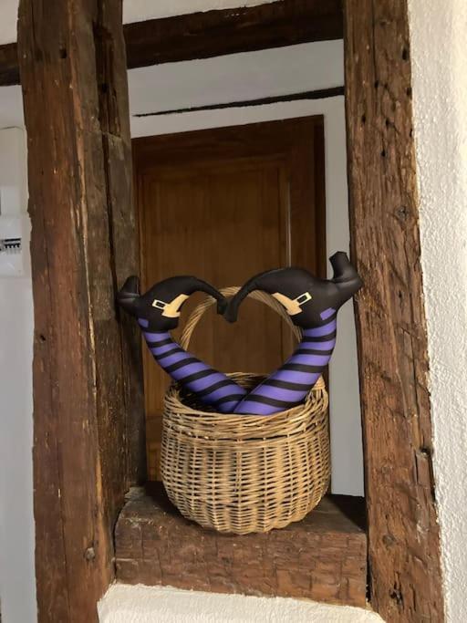 ロウファッハLa Sorciere In A Typical Alsatian Houseアパートメント エクステリア 写真