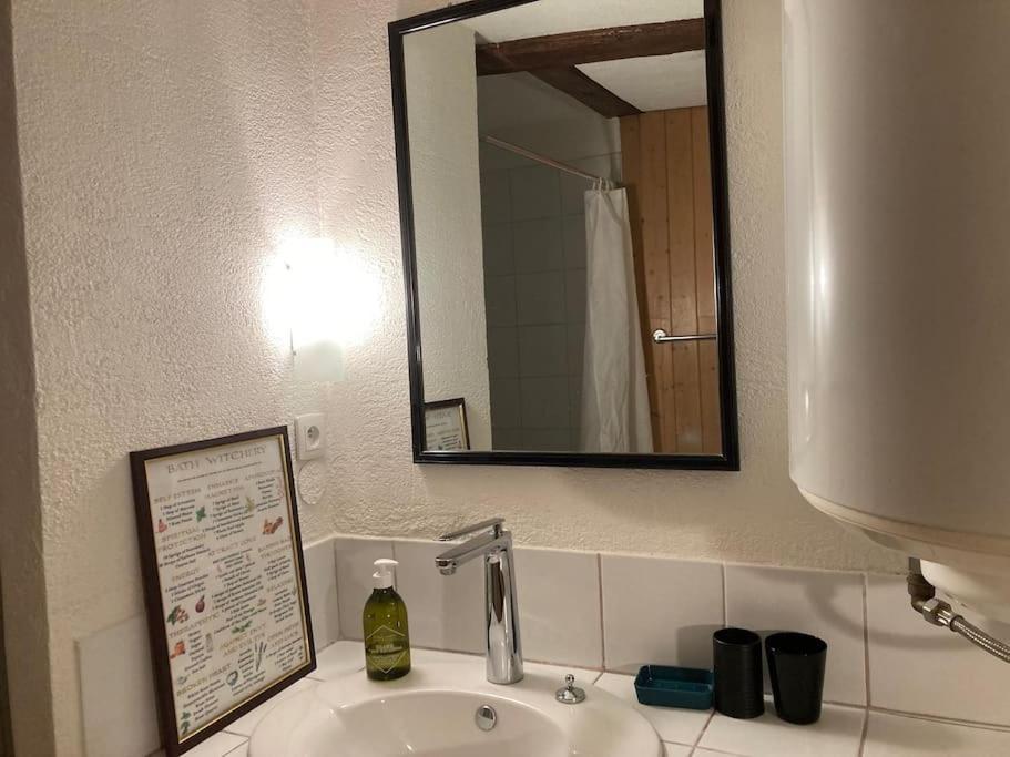 ロウファッハLa Sorciere In A Typical Alsatian Houseアパートメント エクステリア 写真